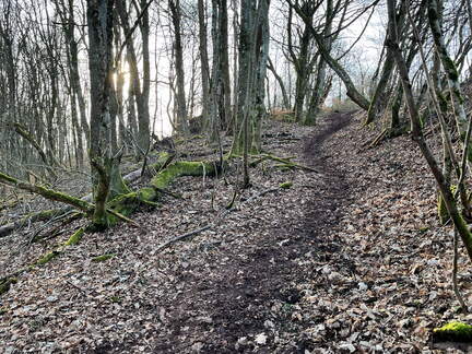 24-02-28 16-22-24 8800